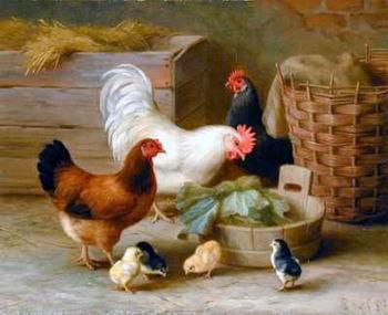 unknow artist Cocks 140 oil painting image